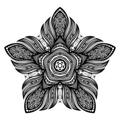 Vector Beautiful Deco Black Star N10