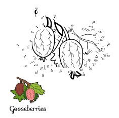 Numbers game fruits and vegetables (gooseberries)