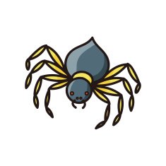 spider doodle N4