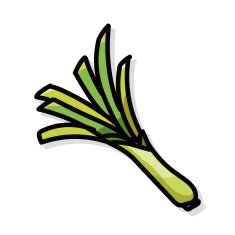 vegetable Shallot color doodle N3