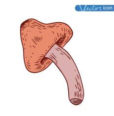 mushrooms set icons vector illustration N27