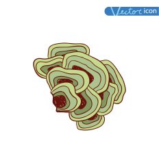 mushrooms set icons vector illustration N39