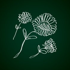 Simple doodle of a flower N6