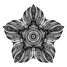 Vector Beautiful Deco Black Star N16