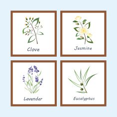 Collection of Herbs
