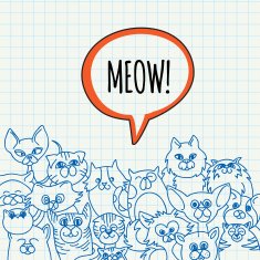 doodle cat background N2