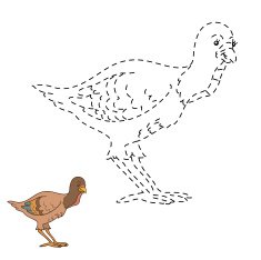 Connect the dots game farm bird (turkey) N2