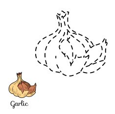 Connect the dots game fruits and vegetables (garlic)