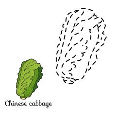 Connect the dots fruits and vegetables (chinese cabbage)