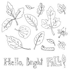 Vector black and white set of leaves different trees