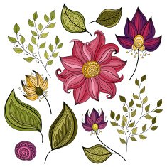 Vector Set of Colored Contour Flowers and Leaves N3