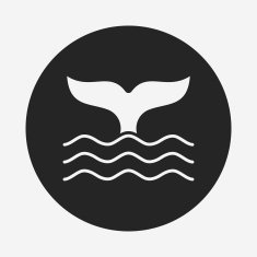 Whale icon N10