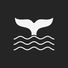 Whale icon N11