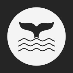 Whale icon N12