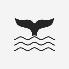 Whale icon N13
