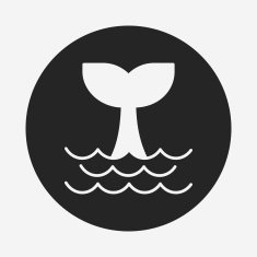 Whale icon N14