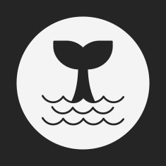 Whale icon N16