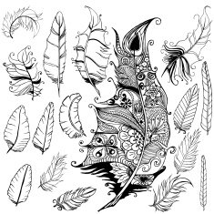 Feather set N3