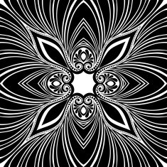 Vector Seamless Vintage Black and White Lace Pattern N58
