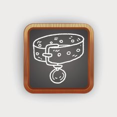 doodle pet collar N4