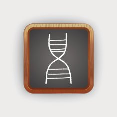 doodle dna N3