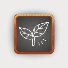 leaf doodle drawing N2
