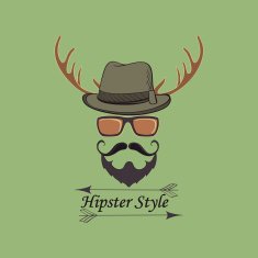 Vector Hipster style logo N3