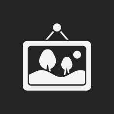 photo icon N4