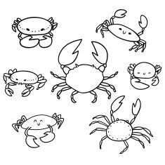 crab doodle set