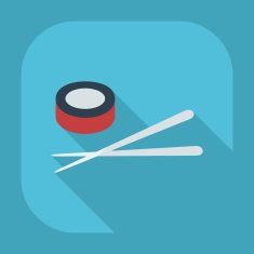Flat modern design with shadow icons Japanese sushi N8