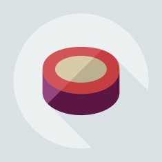 Flat modern design with shadow icons Japanese sushi N10