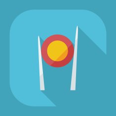 Flat modern design with shadow icons Japanese sushi N23