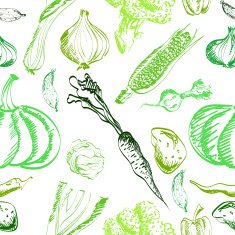 Hand drawn vegetables set on a background Vector