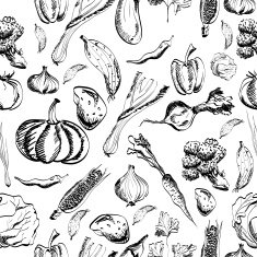 Hand drawn vegetables set on a background Vector N3