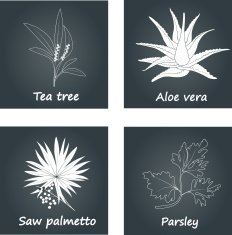 Collection of Herbs N2