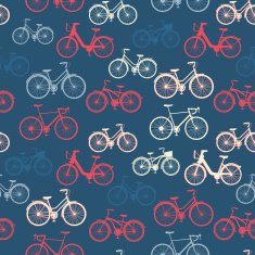 Vintage Bicycles N5