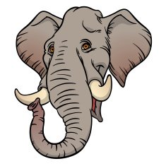 Vector hand drawn illustration with elephant head N2