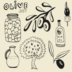 Hand drawn olive set Set of the elements Olives N2