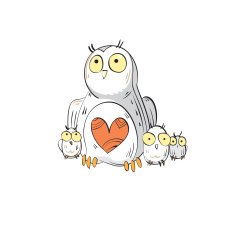 Owl's family N3