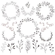 Hand Drawn Vector Floral elements