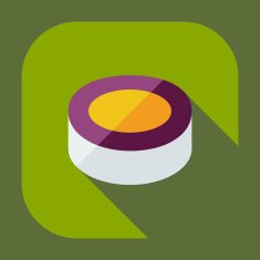 Flat modern design with shadow icons Japanese sushi N38