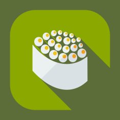 Flat modern design with shadow icons Japanese sushi N40
