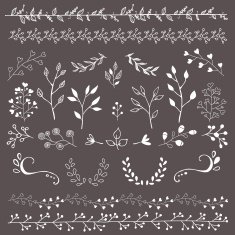 Hand Drawn Floral Design Elements N4