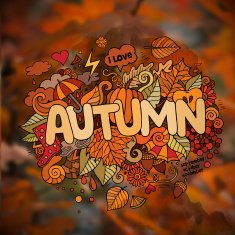Autumn season hand lettering and doodles elements symbols N2