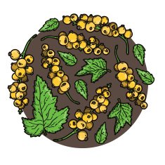 cute circle
