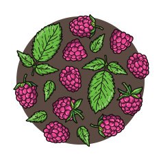 cute circle N4