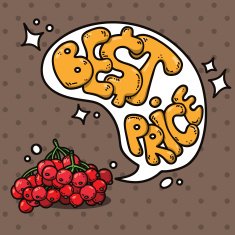 berries and speech bubble N2