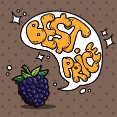 berries and speech bubble N7
