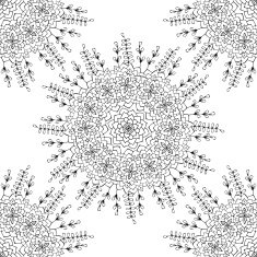 Black and white flower seamless background Vector illustration
