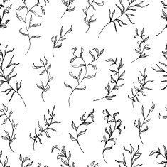 Black and white floral seamless pattern Vector illustration N3